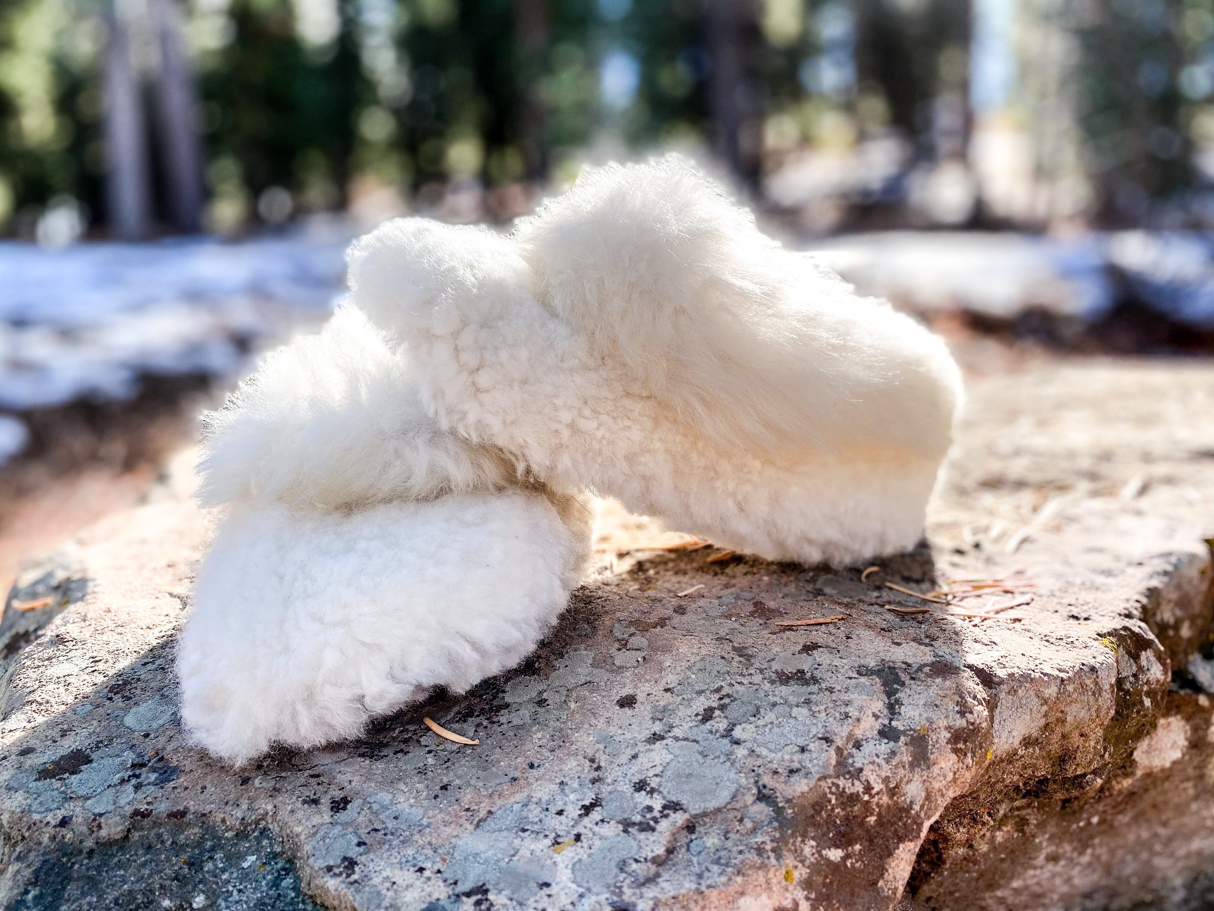 Men White Wool Slippers