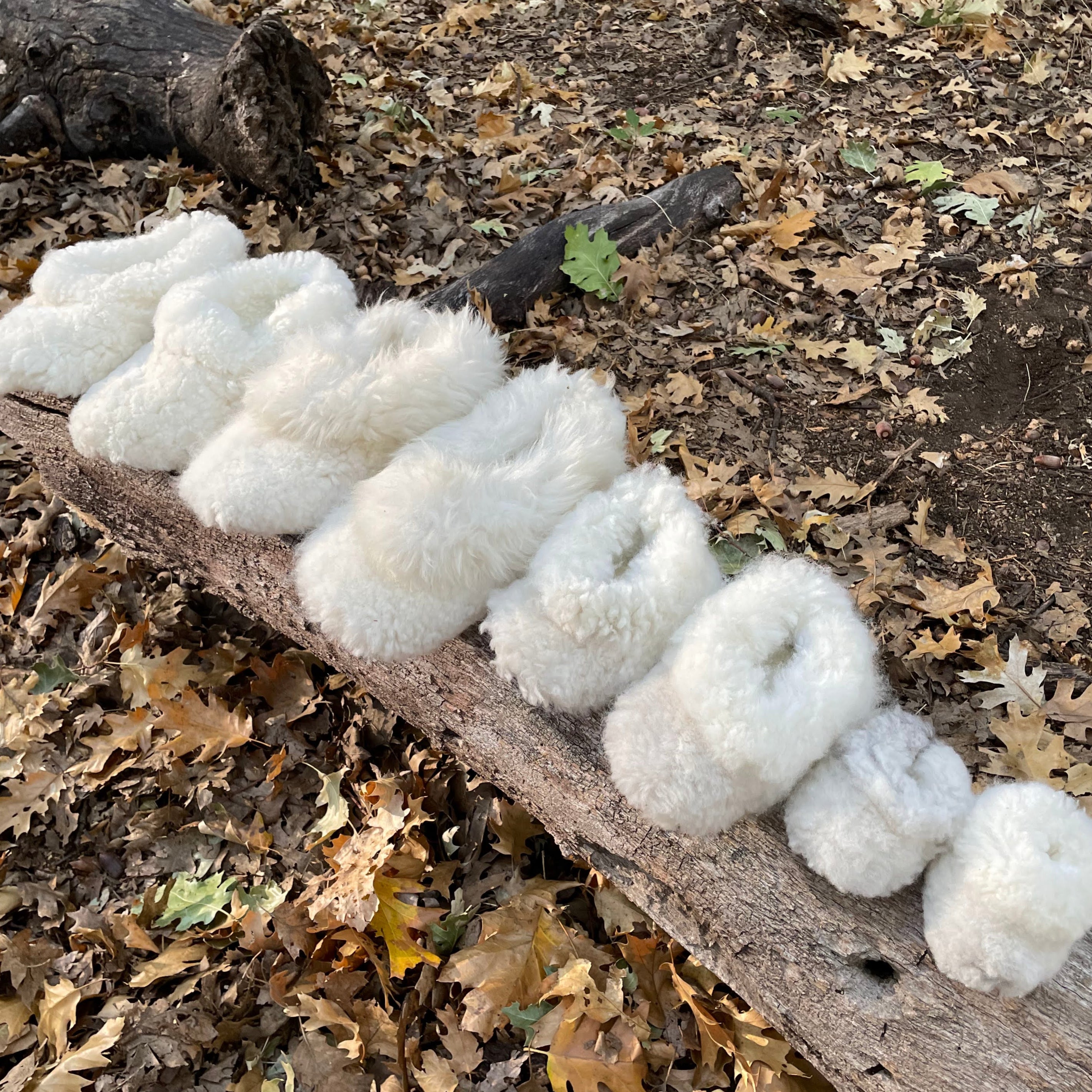 Sheepsking slippers for the whole family